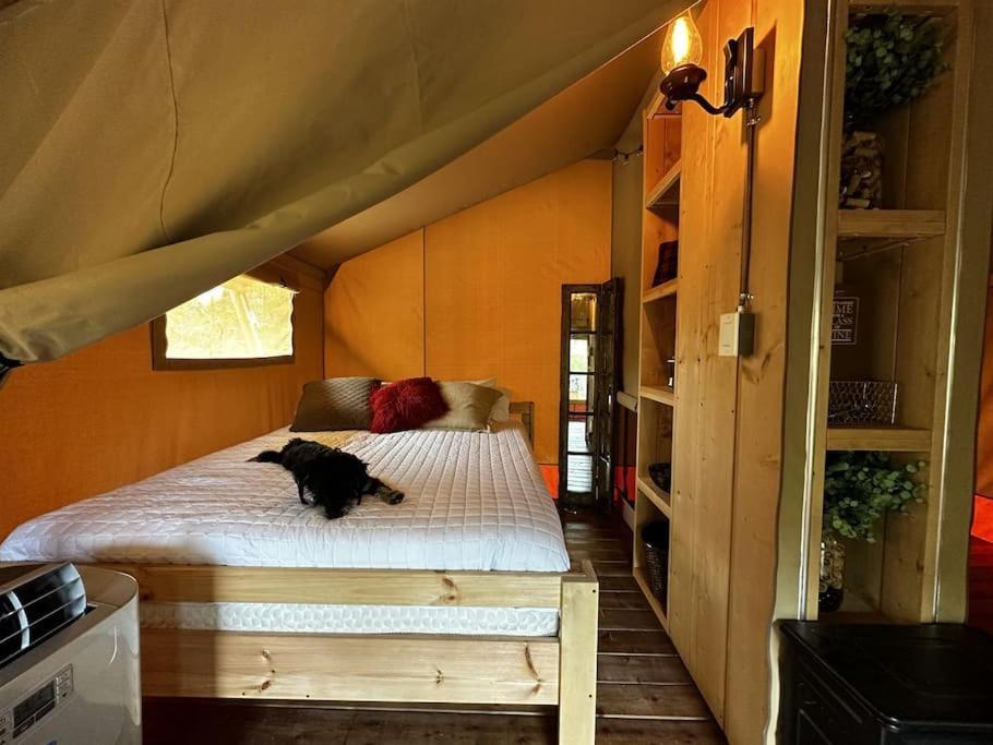 ホテル 12 Fires Luxury Glamping With Heating #5 ジョンソンシティ エクステリア 写真